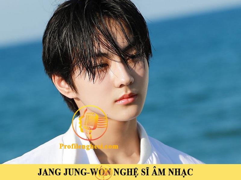 Jang Jung-Won nghệ sĩ âm nhạc là ai? Tiểu sử