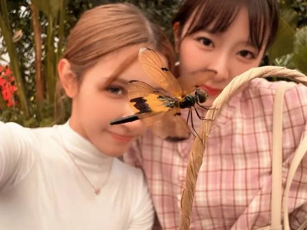 Đôi nét về couple JaoyingMewnich